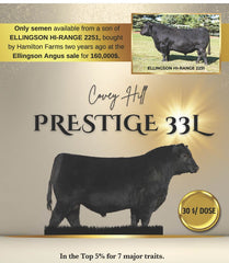 Covey Hill Prestige 33L