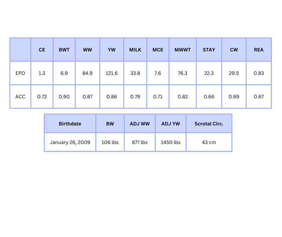 KOP Crosby 137W