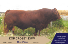 KOP Crosby 137W