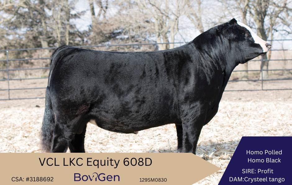 VCL LKC Equity 608D