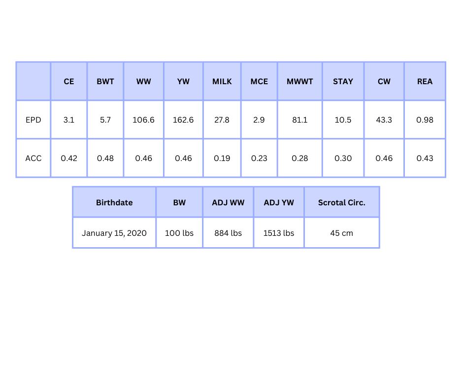 MRL Power Play 40H