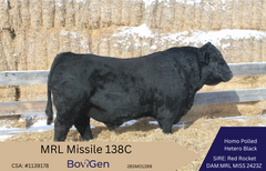 MRL MISSILE 138C