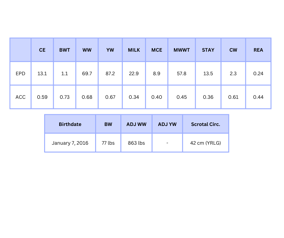 VCL LKC Equity 608D