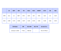 VCL LKC Equity 608D