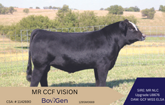 MR CCF Vision